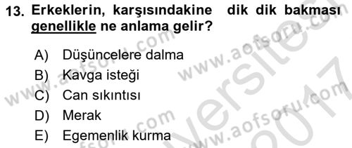 Sözlü ve Sözsüz İletişim Dersi 2016 - 2017 Yılı (Final) Dönem Sonu Sınav Soruları 13. Soru