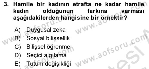 İletişim Kuramları Dersi 2023 - 2024 Yılı Yaz Okulu Sınav Soruları 3. Soru