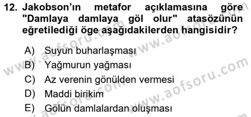 İletişim Kuramları Dersi 2024 - 2025 Yılı Yaz Okulu Sınav Soruları 12. Soru