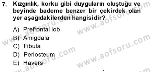 Etkili İletişim Teknikleri Dersi 2014 - 2015 Yılı (Vize) Ara Sınav Soruları 7. Soru