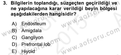 Etkili İletişim Teknikleri Dersi 2015 - 2016 Yılı (Vize) Ara Sınav Soruları 3. Soru