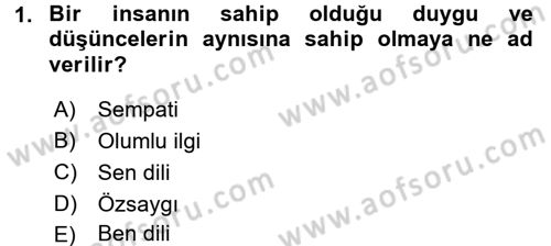 Etkili İletişim Teknikleri Dersi 2016 - 2017 Yılı (Final) Dönem Sonu Sınav Soruları 1. Soru