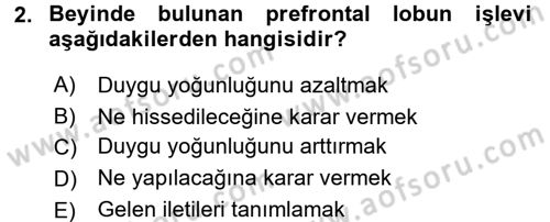 Etkili İletişim Teknikleri Dersi 2017 - 2018 Yılı (Vize) Ara Sınav Soruları 2. Soru