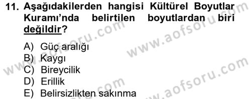 Kültürlerarası İletişim Dersi 2012 - 2013 Yılı (Vize) Ara Sınav Soruları 11. Soru