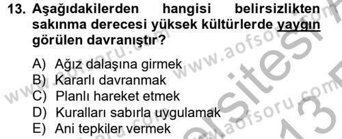 Kültürlerarası İletişim Dersi 2012 - 2013 Yılı (Vize) Ara Sınav Soruları 13. Soru