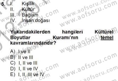 Kültürlerarası İletişim Dersi 2012 - 2013 Yılı (Final) Dönem Sonu Sınav Soruları 5. Soru