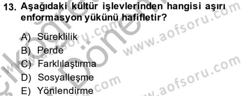 Kültürlerarası İletişim Dersi 2013 - 2014 Yılı (Vize) Ara Sınav Soruları 13. Soru