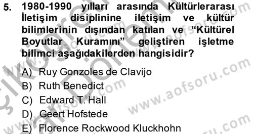 Kültürlerarası İletişim Dersi 2013 - 2014 Yılı (Vize) Ara Sınav Soruları 5. Soru