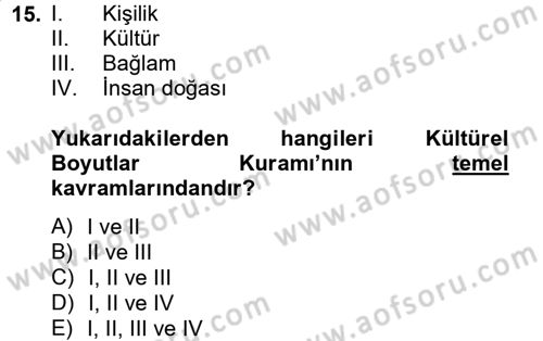 Kültürlerarası İletişim Dersi 2014 - 2015 Yılı (Vize) Ara Sınav Soruları 15. Soru