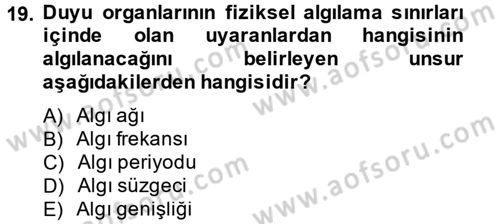 Kültürlerarası İletişim Dersi 2014 - 2015 Yılı (Vize) Ara Sınav Soruları 19. Soru