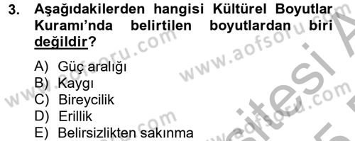 Kültürlerarası İletişim Dersi 2014 - 2015 Yılı (Final) Dönem Sonu Sınav Soruları 3. Soru