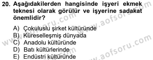 Kültürlerarası İletişim Dersi 2014 - 2015 Yılı Tek Ders Sınav Soruları 20. Soru