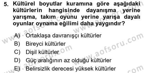 Kültürlerarası İletişim Dersi 2015 - 2016 Yılı (Vize) Ara Sınav Soruları 5. Soru