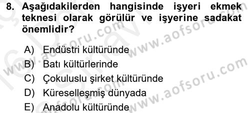 Kültürlerarası İletişim Dersi 2015 - 2016 Yılı Tek Ders Sınav Soruları 8. Soru