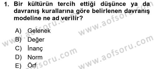 Kültürlerarası İletişim Dersi 2016 - 2017 Yılı 3 Ders Sınav Soruları 1. Soru