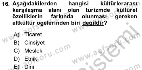 Kültürlerarası İletişim Dersi 2016 - 2017 Yılı 3 Ders Sınav Soruları 16. Soru