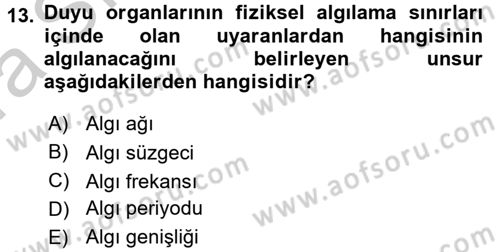 Kültürlerarası İletişim Dersi 2016 - 2017 Yılı (Vize) Ara Sınav Soruları 13. Soru