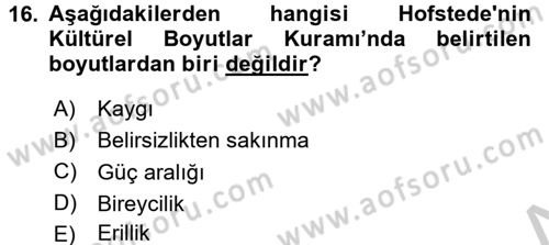 Kültürlerarası İletişim Dersi 2016 - 2017 Yılı (Vize) Ara Sınav Soruları 16. Soru