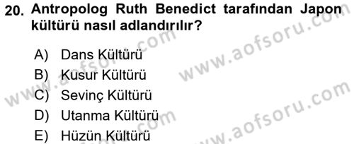 Kültürlerarası İletişim Dersi 2016 - 2017 Yılı (Vize) Ara Sınav Soruları 20. Soru