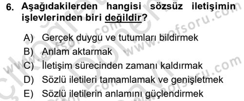 Kültürlerarası İletişim Dersi 2016 - 2017 Yılı (Final) Dönem Sonu Sınav Soruları 6. Soru
