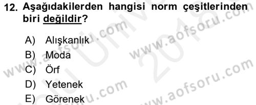 Kültürlerarası İletişim Dersi 2017 - 2018 Yılı 3 Ders Sınav Soruları 12. Soru