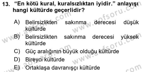 Kültürlerarası İletişim Dersi 2017 - 2018 Yılı 3 Ders Sınav Soruları 13. Soru