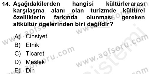 Kültürlerarası İletişim Dersi 2017 - 2018 Yılı 3 Ders Sınav Soruları 14. Soru
