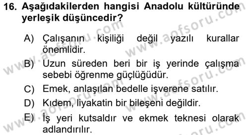 Kültürlerarası İletişim Dersi 2017 - 2018 Yılı 3 Ders Sınav Soruları 16. Soru