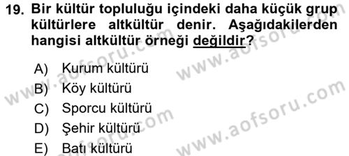 Kültürlerarası İletişim Dersi 2017 - 2018 Yılı 3 Ders Sınav Soruları 19. Soru