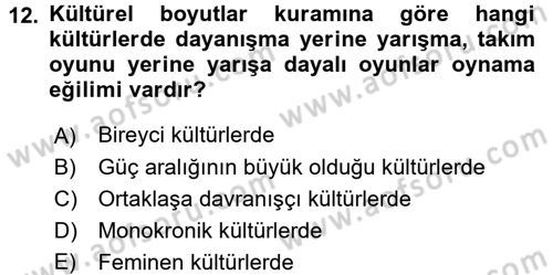 Kültürlerarası İletişim Dersi 2017 - 2018 Yılı (Vize) Ara Sınavı 12. Soru