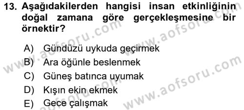 Kültürlerarası İletişim Dersi 2017 - 2018 Yılı (Vize) Ara Sınav Soruları 13. Soru