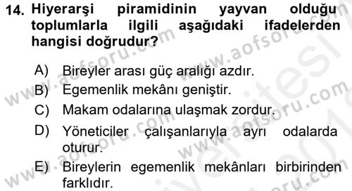 Kültürlerarası İletişim Dersi 2017 - 2018 Yılı (Vize) Ara Sınav Soruları 14. Soru