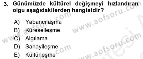 Kültürlerarası İletişim Dersi 2017 - 2018 Yılı (Vize) Ara Sınav Soruları 3. Soru