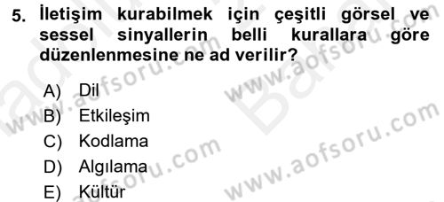 Kültürlerarası İletişim Dersi 2017 - 2018 Yılı (Vize) Ara Sınav Soruları 5. Soru