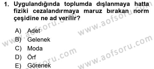 Kültürlerarası İletişim Dersi 2018 - 2019 Yılı 3 Ders Sınav Soruları 1. Soru
