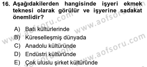 Kültürlerarası İletişim Dersi 2018 - 2019 Yılı 3 Ders Sınav Soruları 16. Soru