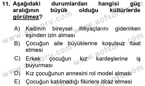 Kültürlerarası İletişim Dersi 2018 - 2019 Yılı (Vize) Ara Sınavı 11. Soru