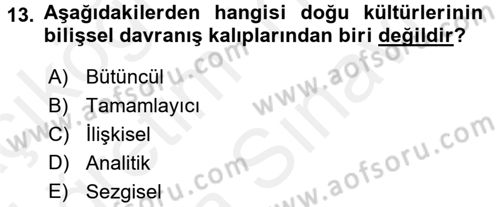 Kültürlerarası İletişim Dersi 2018 - 2019 Yılı (Vize) Ara Sınavı 13. Soru