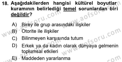 Kültürlerarası İletişim Dersi 2018 - 2019 Yılı (Vize) Ara Sınavı 18. Soru