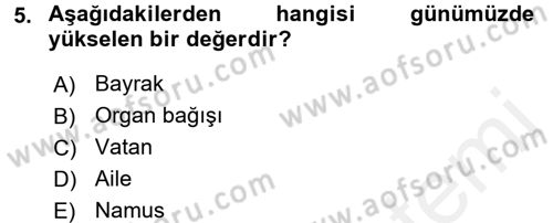 Kültürlerarası İletişim Dersi 2018 - 2019 Yılı (Vize) Ara Sınav Soruları 5. Soru
