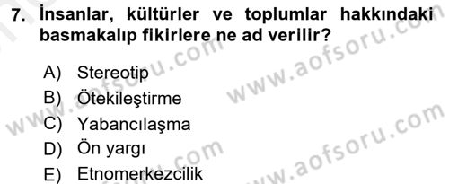 Kültürlerarası İletişim Dersi 2018 - 2019 Yılı (Vize) Ara Sınavı 7. Soru