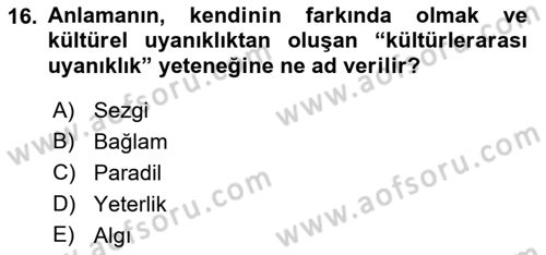 Kültürlerarası İletişim Dersi 2018 - 2019 Yılı Yaz Okulu Sınav Soruları 16. Soru