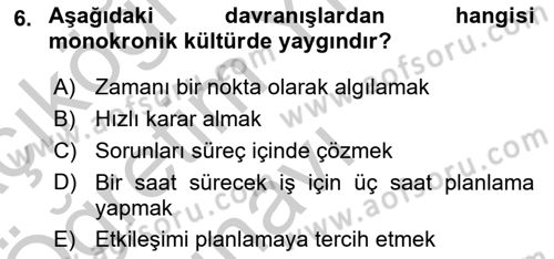 Kültürlerarası İletişim Dersi 2018 - 2019 Yılı Yaz Okulu Sınav Soruları 6. Soru