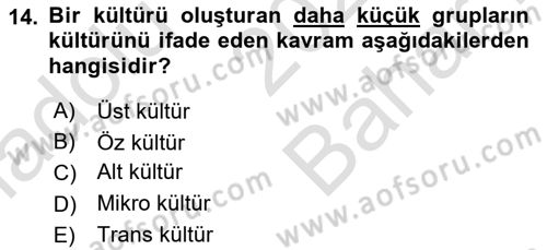 Kültürlerarası İletişim Dersi 2021 - 2022 Yılı (Vize) Ara Sınav Soruları 14. Soru