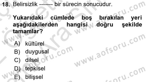 Kültürlerarası İletişim Dersi 2021 - 2022 Yılı (Vize) Ara Sınav Soruları 18. Soru