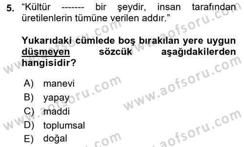 Kültürlerarası İletişim Dersi 2021 - 2022 Yılı (Vize) Ara Sınav Soruları 5. Soru
