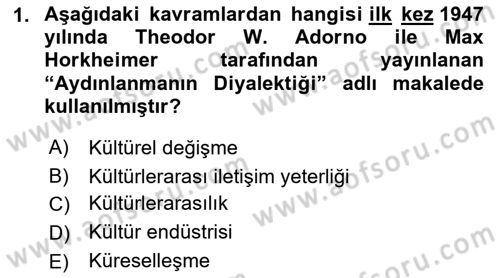 Kültürlerarası İletişim Dersi 2021 - 2022 Yılı Yaz Okulu Sınav Soruları 1. Soru