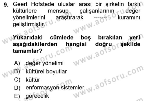 Kültürlerarası İletişim Dersi 2021 - 2022 Yılı Yaz Okulu Sınav Soruları 9. Soru