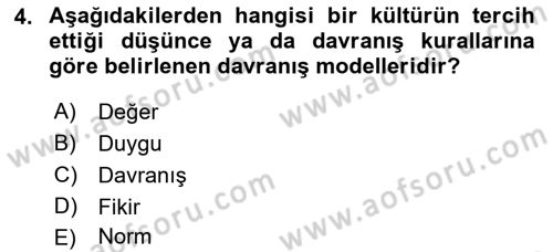 Kültürlerarası İletişim Dersi 2022 - 2023 Yılı Yaz Okulu Sınav Soruları 4. Soru