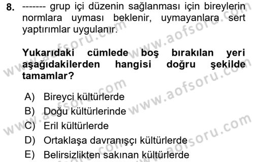 Kültürlerarası İletişim Dersi 2022 - 2023 Yılı Yaz Okulu Sınav Soruları 8. Soru